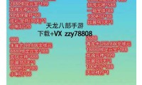 天龙八部公益服特色玩法与风险详解：武侠江湖沉浸体验与跨服活动