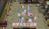 天龙八部公益服发布站特点及使用注意事项详解