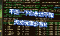天龙SF发布网：多样版本与丰富资源，满足不同玩家需求
