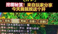 最新天龙sf版本特色揭秘：新技能秘籍、宝石系统与隐藏地图全解析